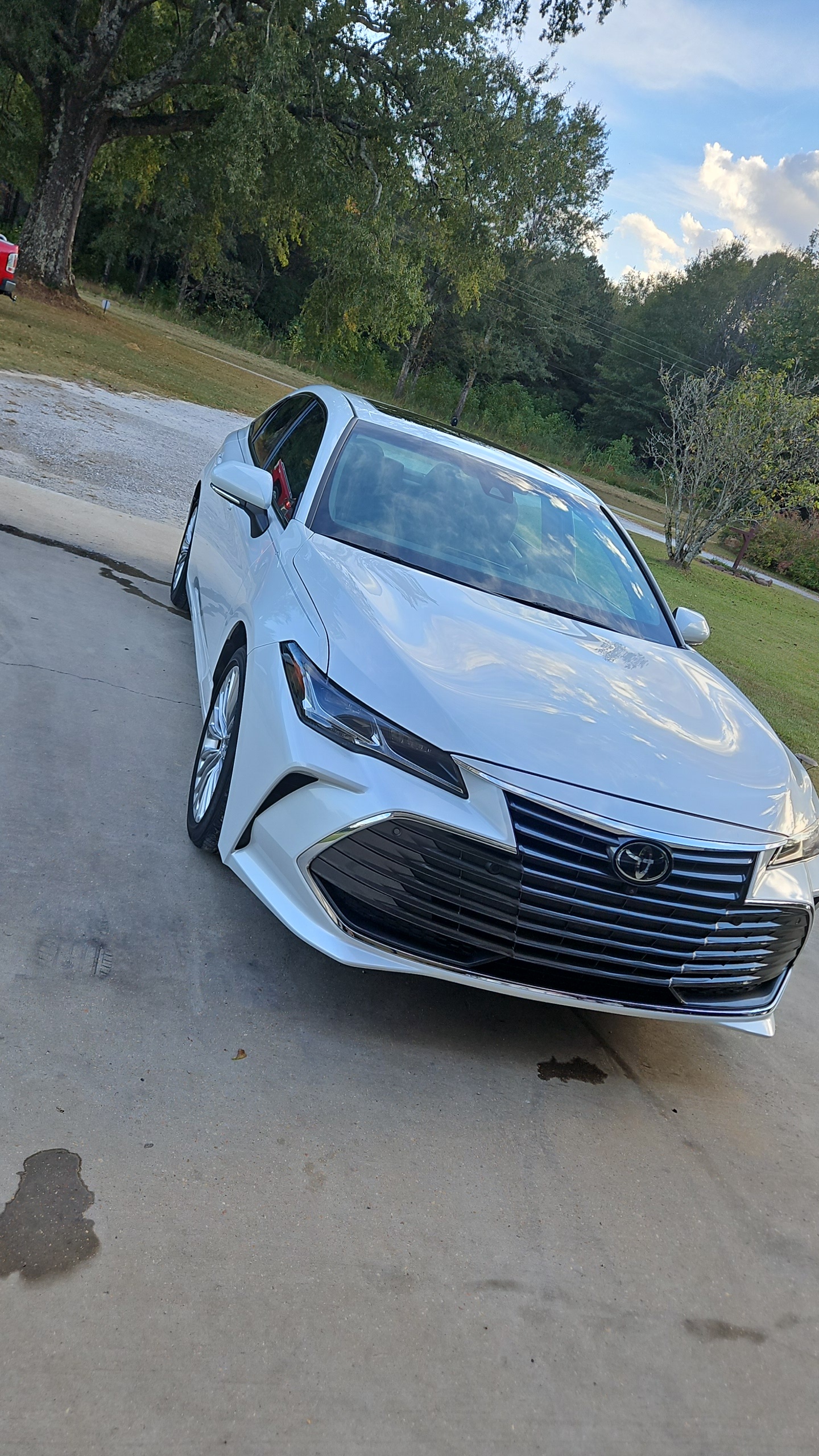 Toyota Avalon exterior detail